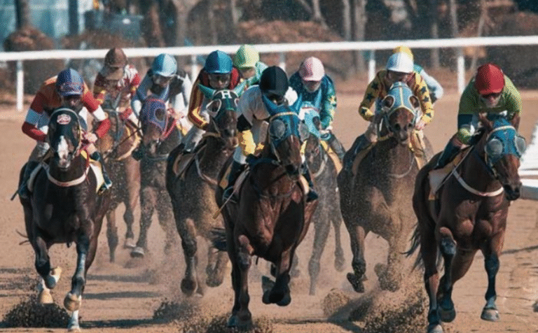 The Future of Horse Racing: Innovations and Trends