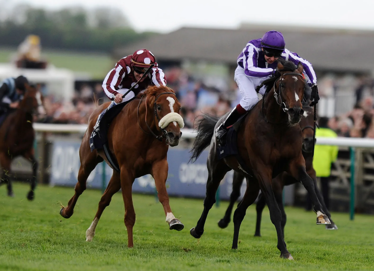 The History of Horse Racing: From Ancient Times to Today