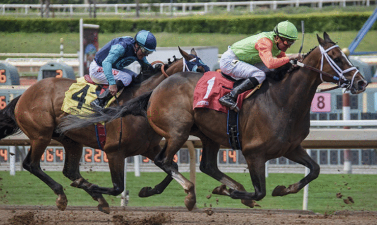 The Horse Racing Betting Market: An Inside Look