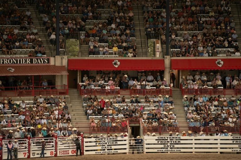 digital fusion technology development